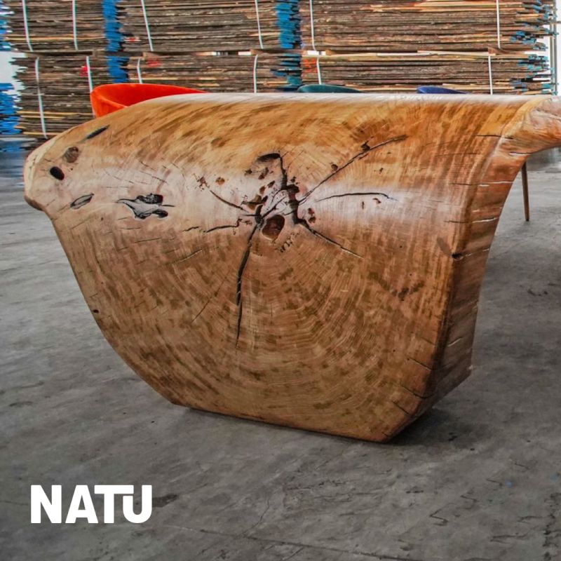 natu hrast1