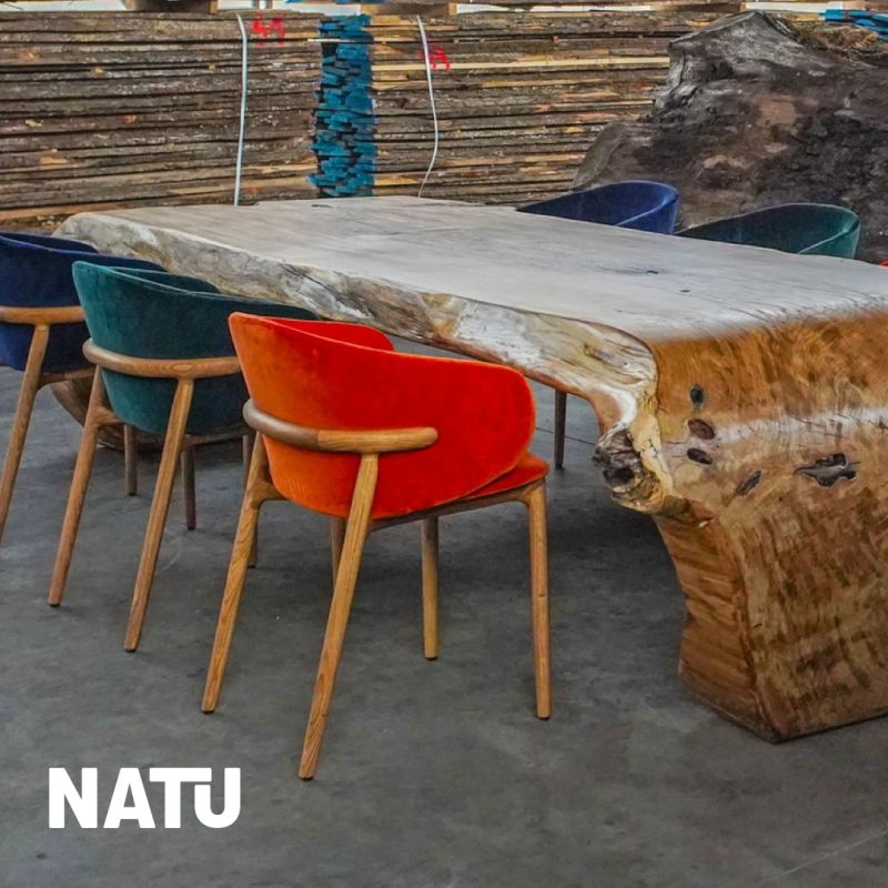 natu hrast3