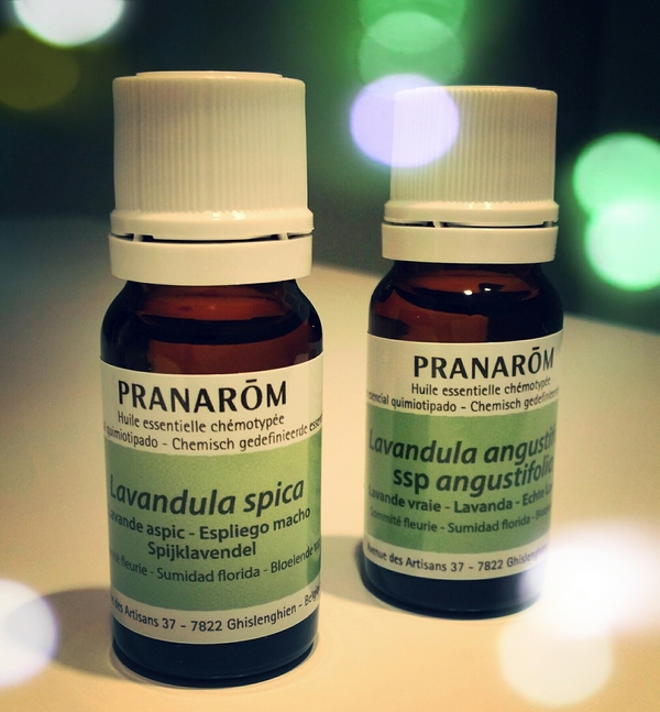 phtogo pranarom 2 lavanda