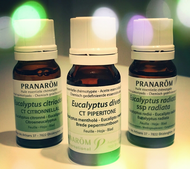 phtogo pranarom 3 eukaliptus