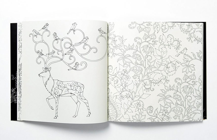 coloring-books-for-adults-johanna-basford-2 880