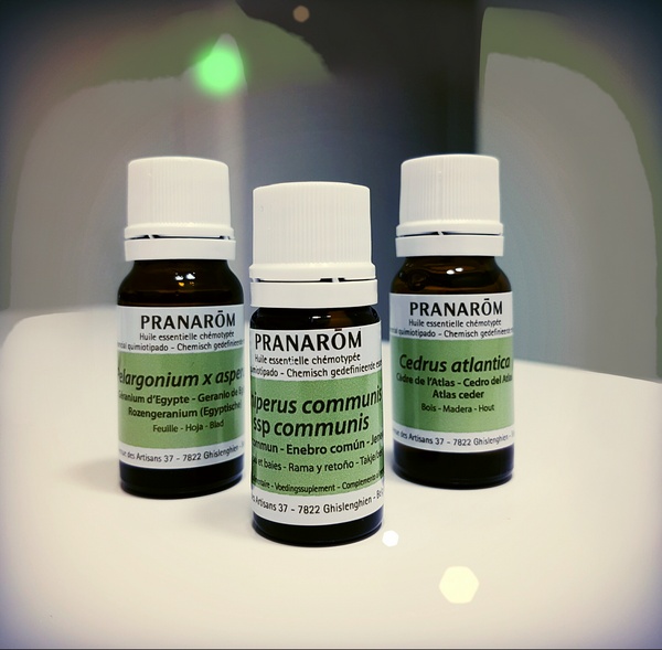 phtogo aroma4