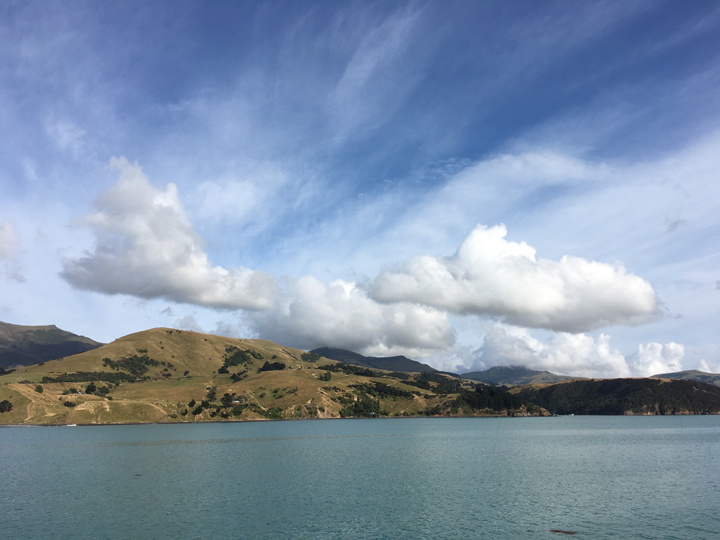 AKAROA NEW ZEALAND 61