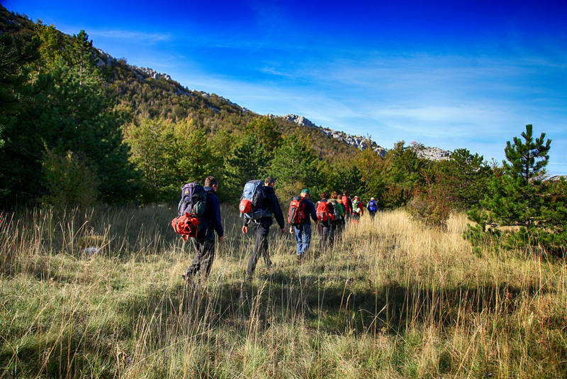 Foto by Marko Katić 1