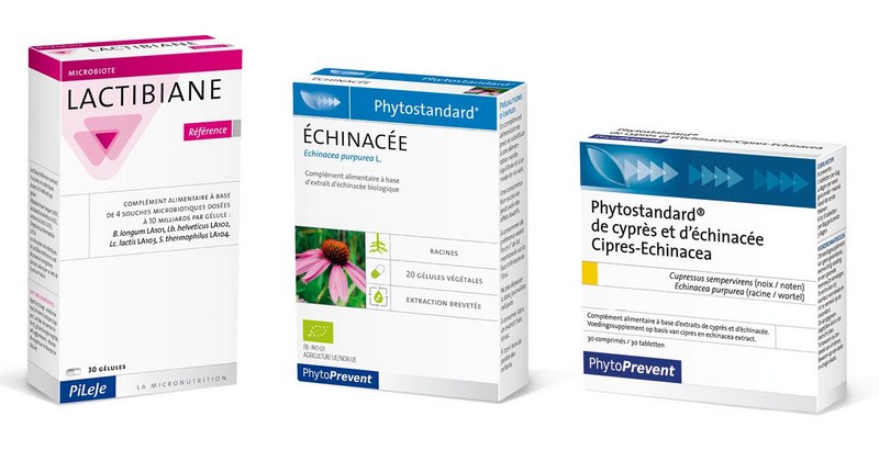echinacee