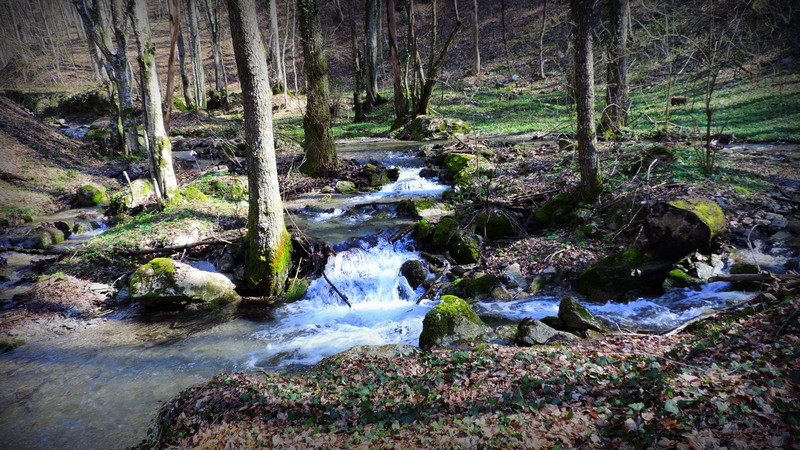 PAPUK098