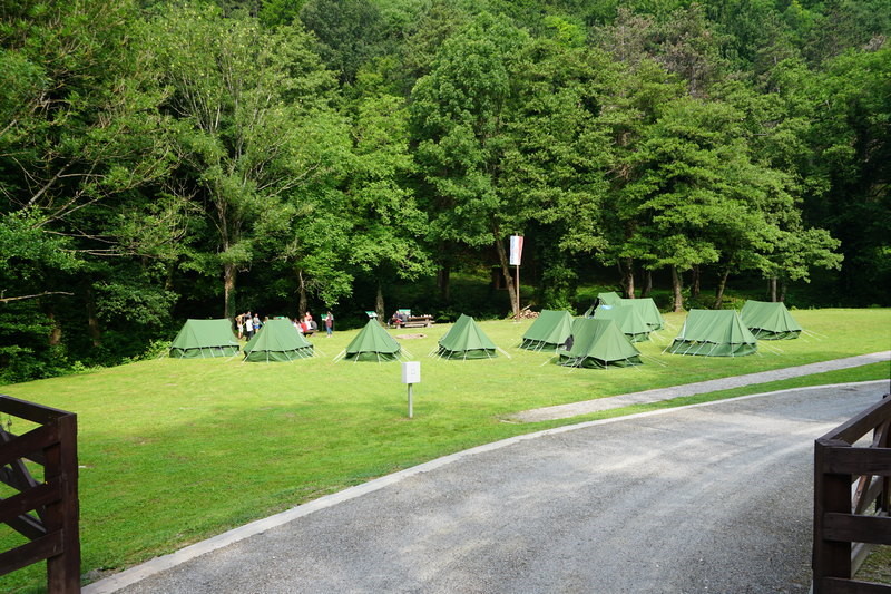 PAPUK098