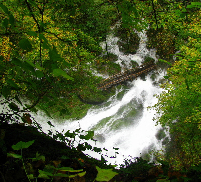 PAPUK098