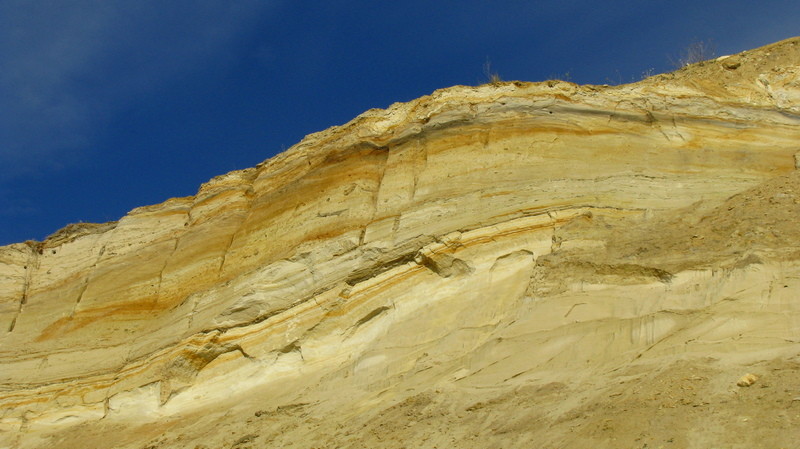PAPUK098