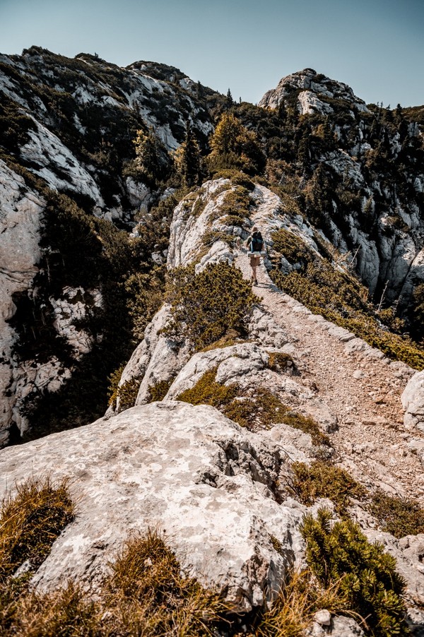 HIGHLANDER EXPERIENCE 6