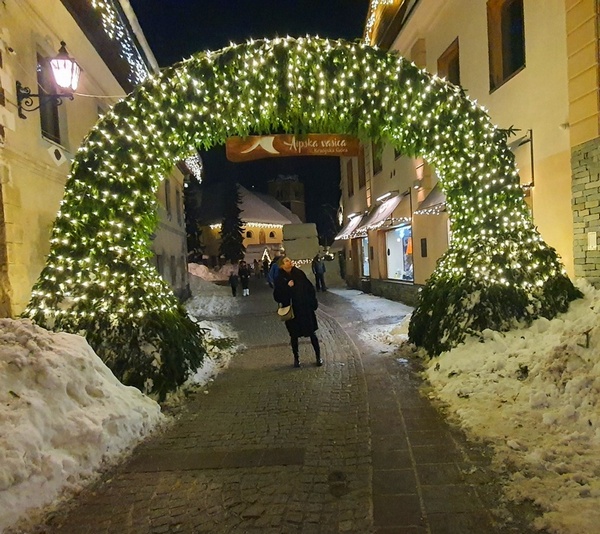 vogel bohinj kranjska gora