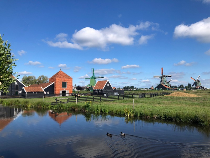 DARIO AMAN AMSTERDAM17