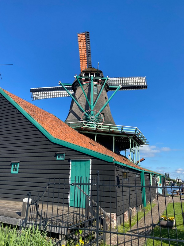 DARIO AMAN AMSTERDAM31