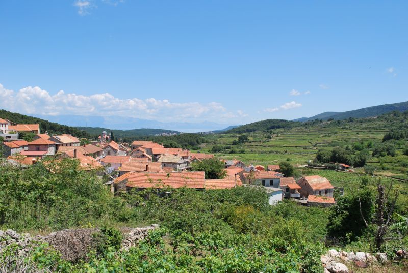 HvarOtokVina 1 hvarskivinogradi foto IKC