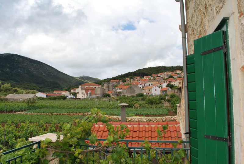 HvarOtokVina 4 hvarski vinogradi foto IKC