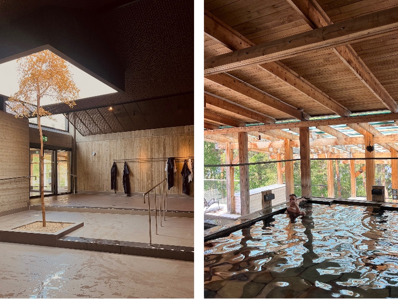 yasuragi spa sweden vanja veselic