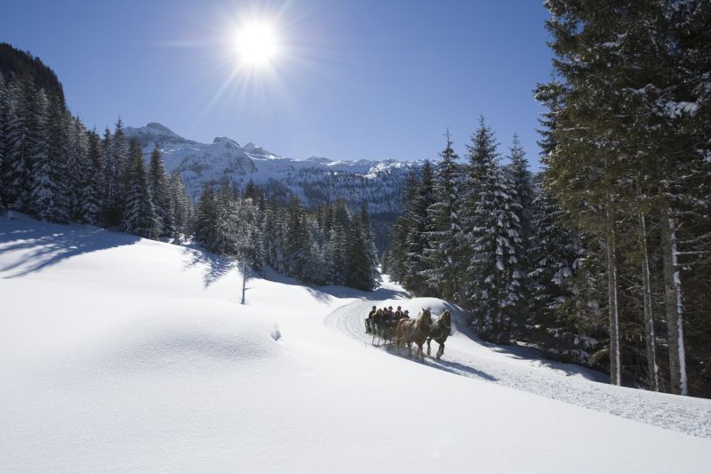 Pferdeschlittenfahrt bei der Gnadenalm, Obertauern, Salzburger Land, Österreich.