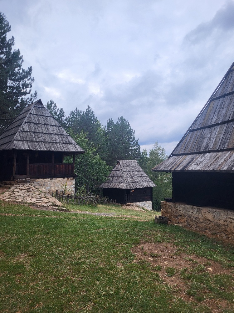 20240919 141507 resized