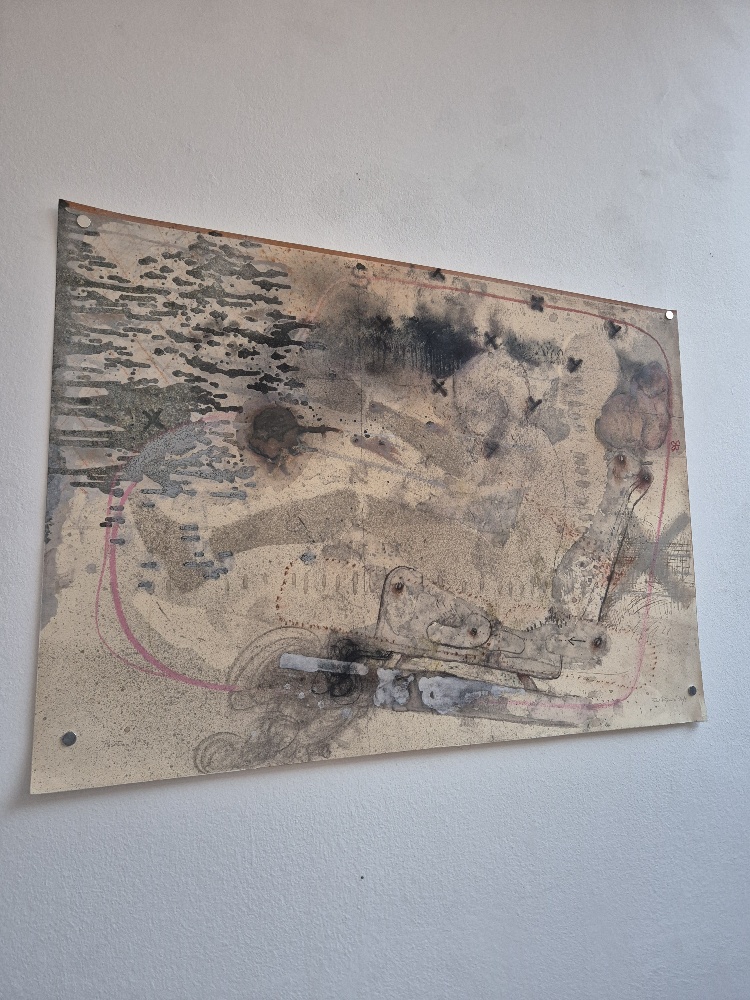 20250403 190442 resized1