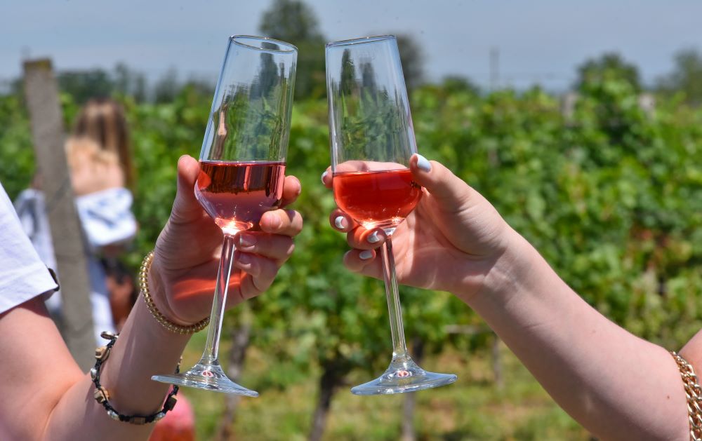 Pjenušavi doručak Srijem 1