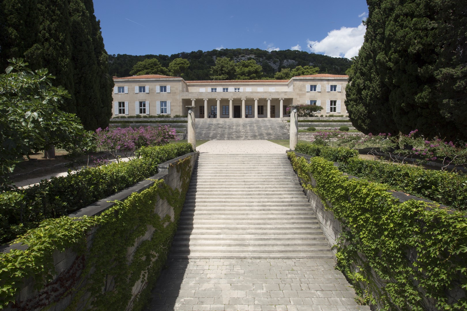 Foto Zoran Alajbeg 3