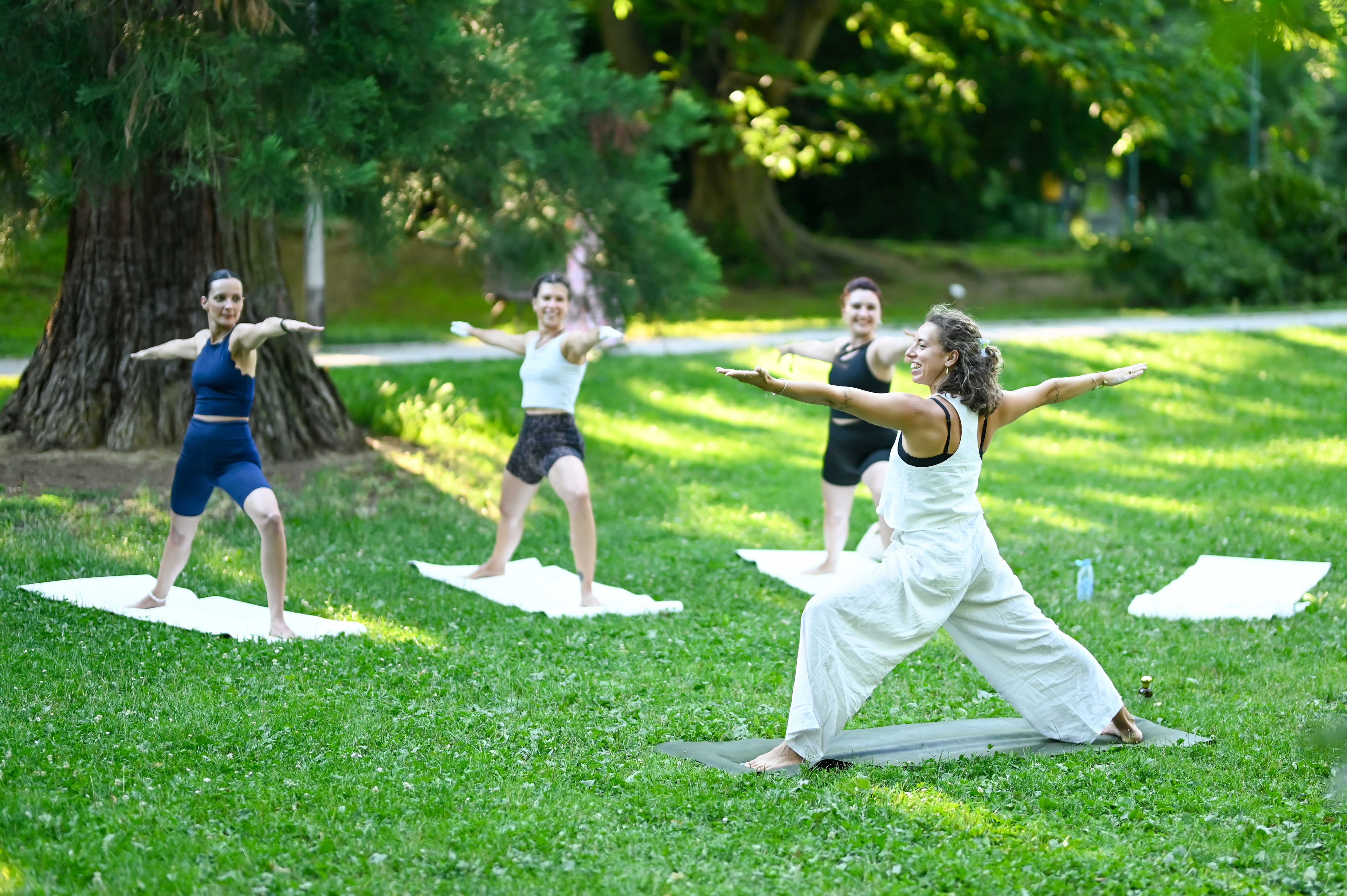 Alqvimia 6 RG 45 copy