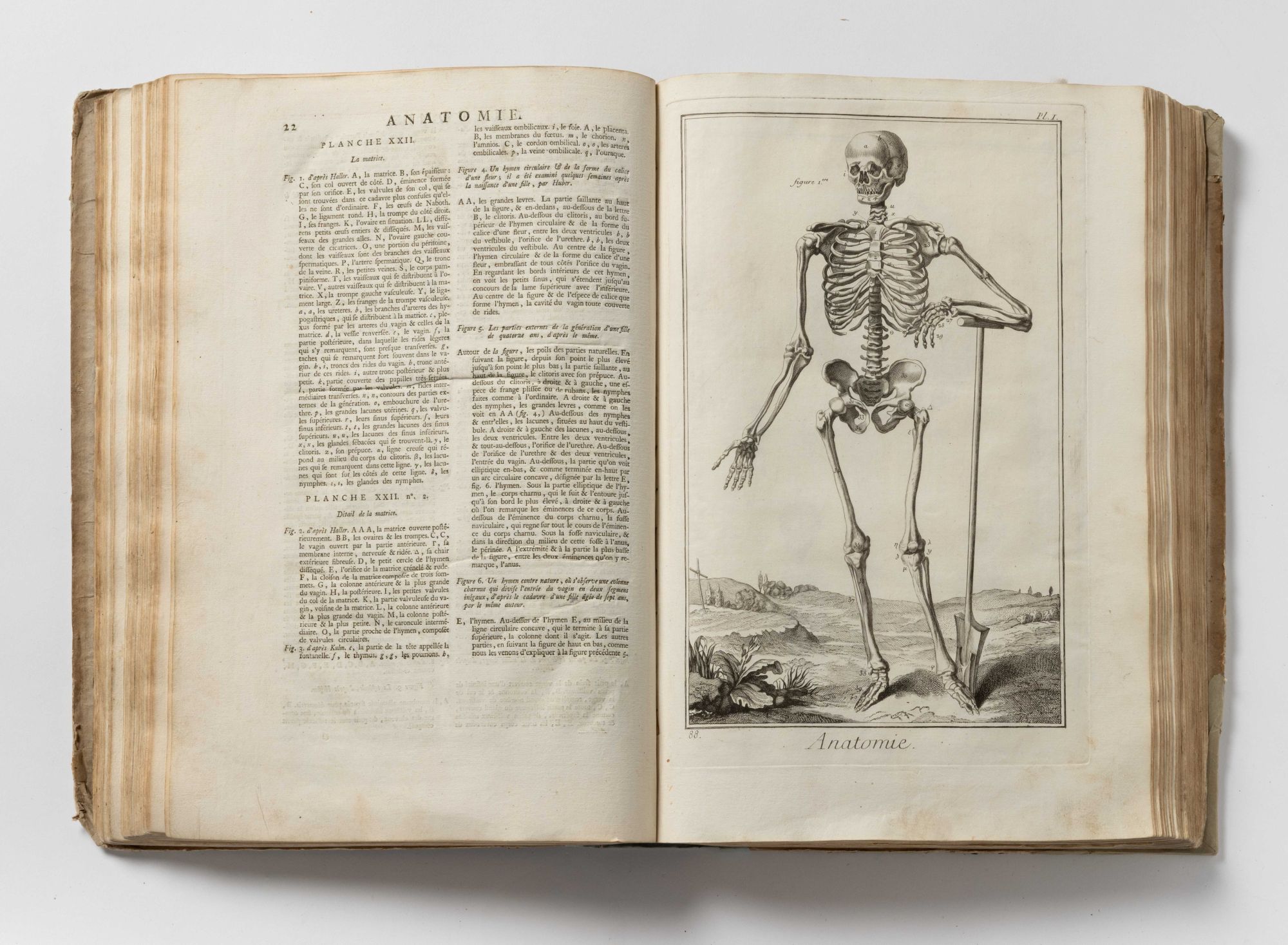 Denis Diderot Encyclopaedie ou dictionnaire raisonne Francuska enciklopedija Livorno 1771jpg