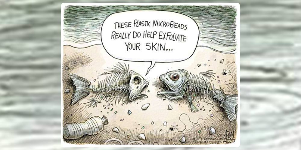 1000 microbeads fish Adam Zyglis