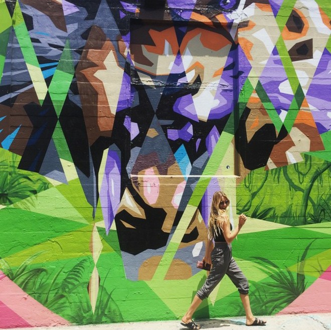 INSTA LIFE ALANA 29 cr