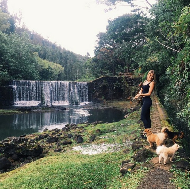 INSTA LIFE ALANA 36 cr