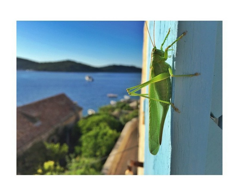 INSTA LIFE TANJA G 9