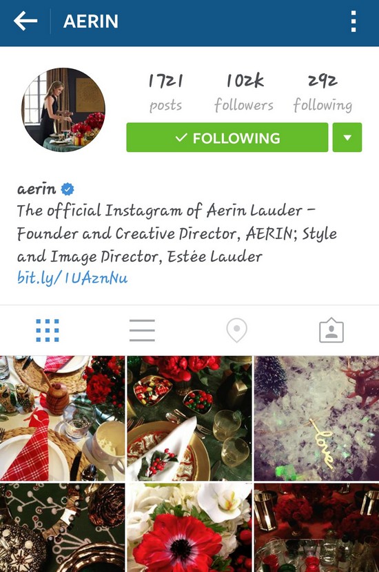 INSTA LIFE AERIN 1