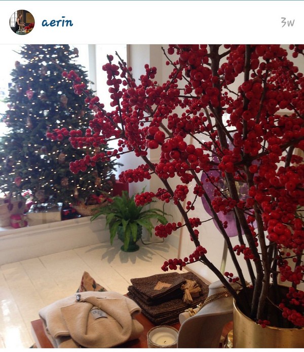 INSTA LIFE AERIN 12