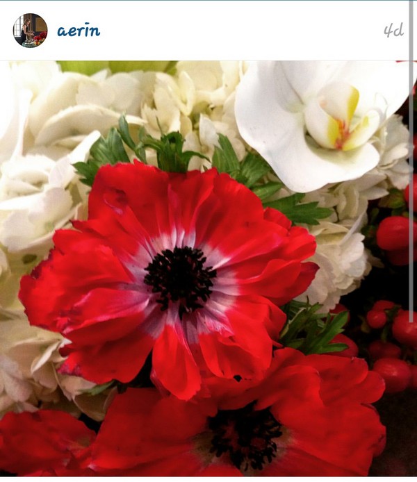 INSTA LIFE AERIN 3