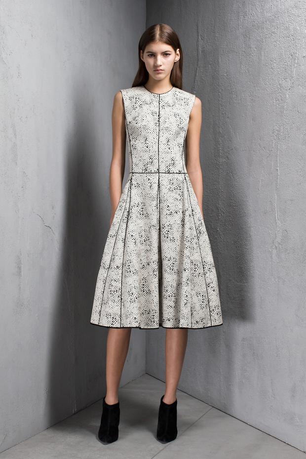 narciso-rodriguez-pre-autumn-fall-201311