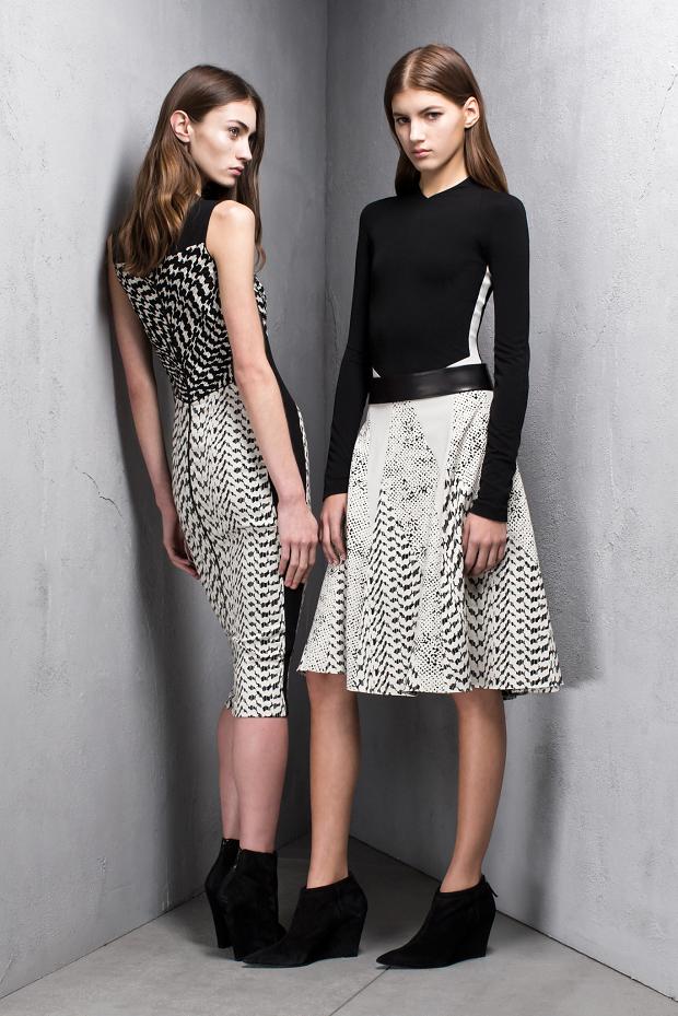 narciso-rodriguez-pre-autumn-fall-201312