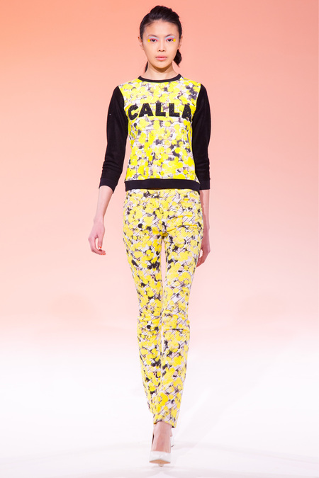 CALLA 004 1366.450x675