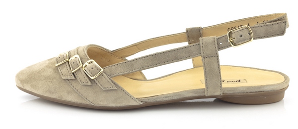 Paul Green 79800 kn cr