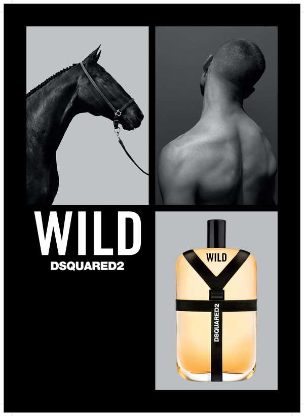 Dsquared Wild