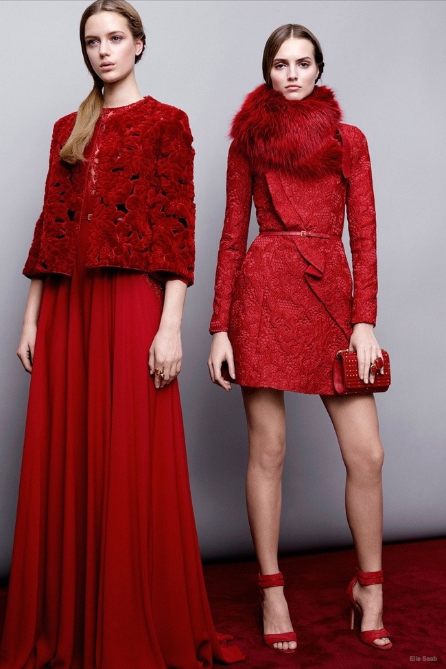 elie-saab-pre-fall-2015-photos26