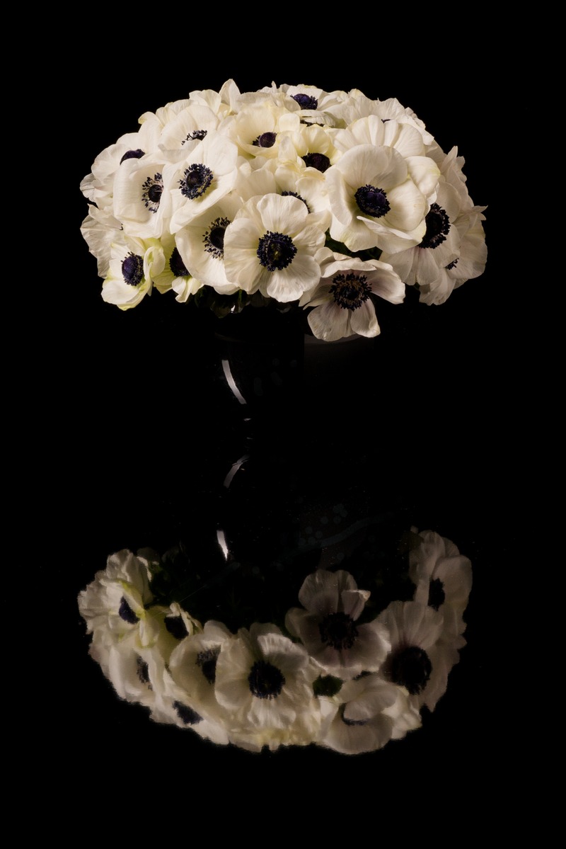 04042013 1509-as-Smart-Object-1