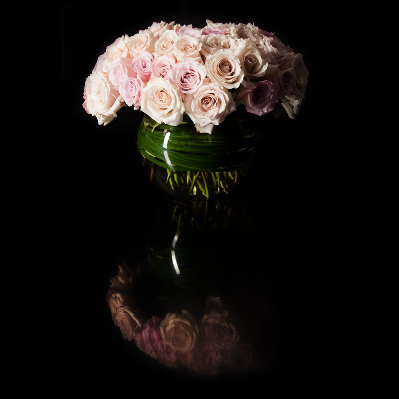 Hannah-Floral-00691