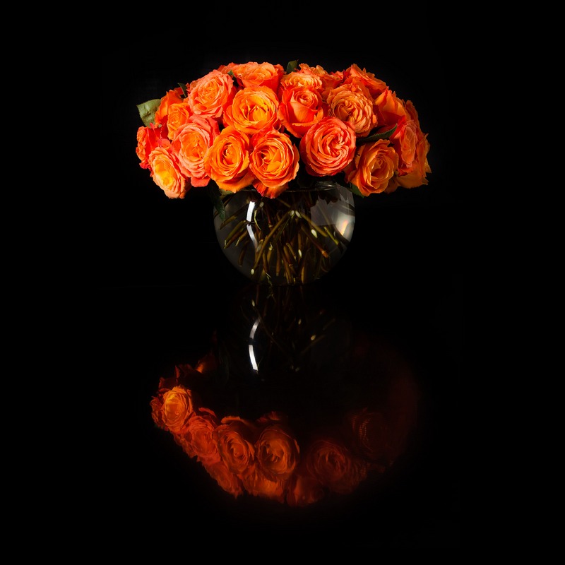 Hannah-Floral-0119