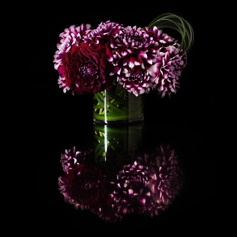 Hannah-Floral-0211
