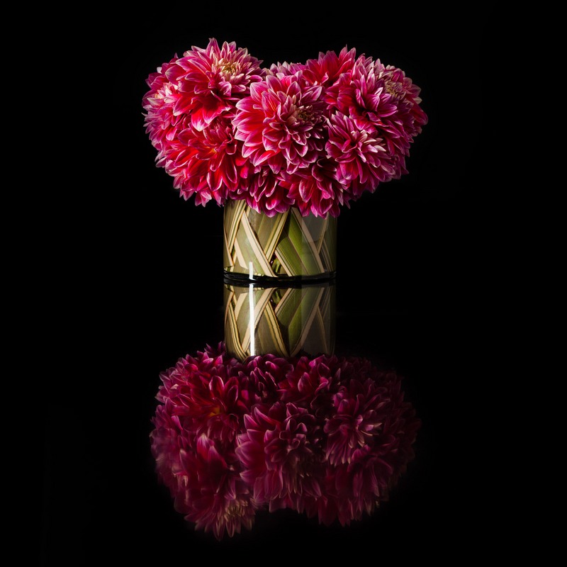 Hannah-Floral-0243