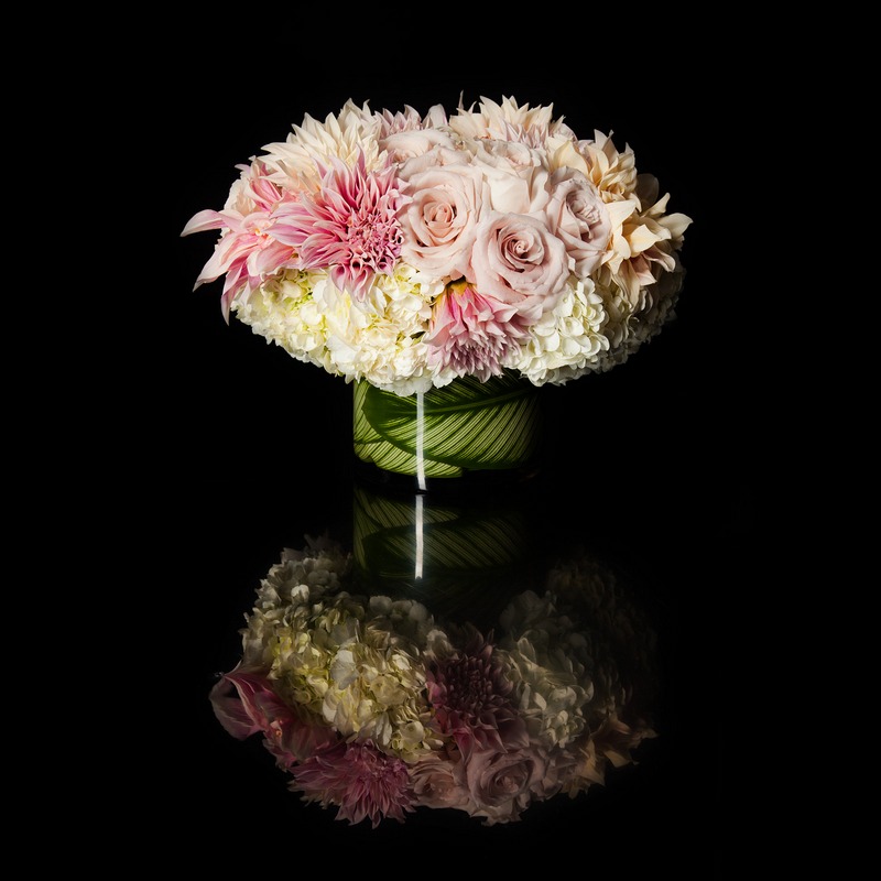 Hannah-Floral-0288