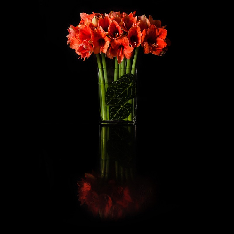 Hannah-Floral-0314