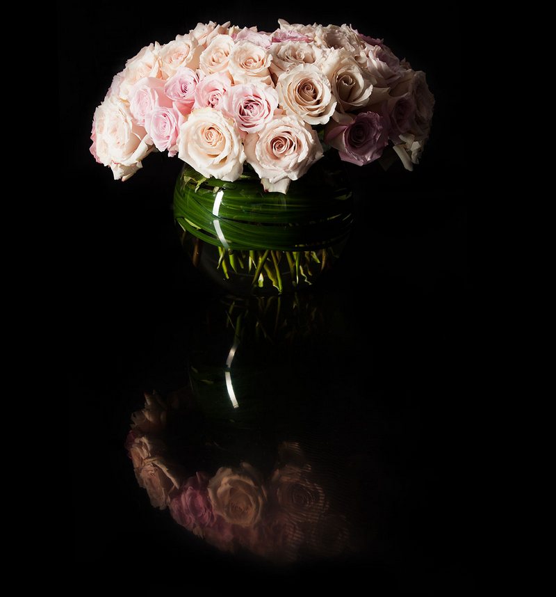 white-pink-roses