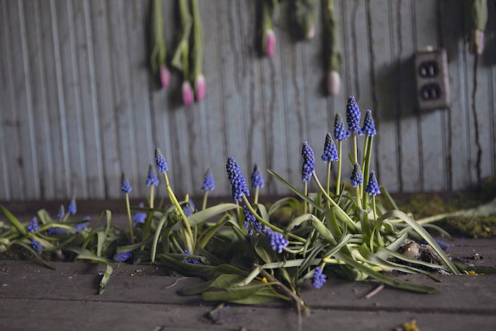lisa waud detroit house of flowers 04