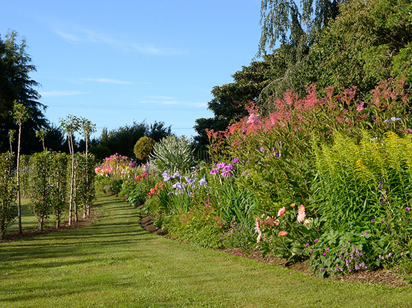 barry-cox-tree-church-13